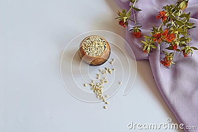 Safflower seeds and safflower stem with flowers Stock Photo