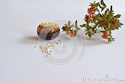 Safflower seeds and safflower stem with flowers Stock Photo