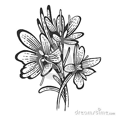 Saffron flower spice sketch engraving vector Vector Illustration