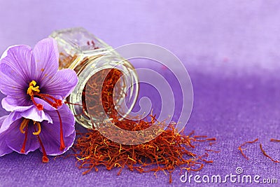 Saffron flowers Stock Photo