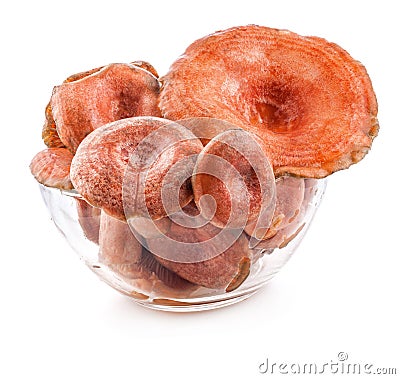 Saffron milk caps (Lactarius deliciosus) in tray Stock Photo