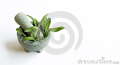 Sage leaves in stone mortar and pestle on white background Stock Photo