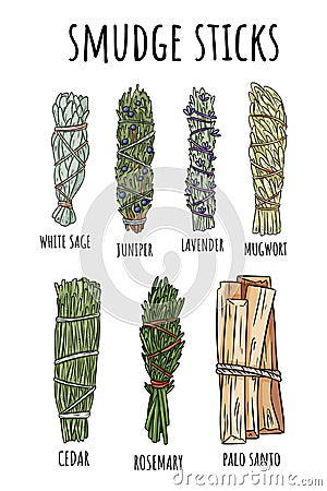 Sage smudge sticks hand-drawn set of doodles. Herb bundles collection Vector Illustration