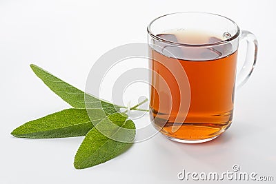 Sage tea Stock Photo