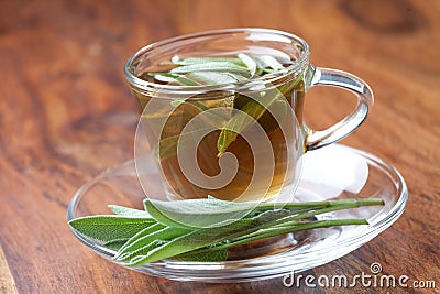 Sage tea with fresh sage inside teacup on wooden flooring Stock Photo