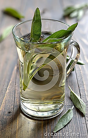 Sage tea Stock Photo