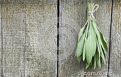 Sage tuft hanging under the roof and drying on the background of old textured wooden wall Stock Photo