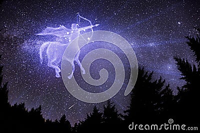 Sagittarius zodiac sign. Stock Photo