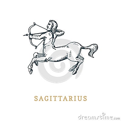 Sagittarius zodiac symbol,hand drawn in engraving style. Vector graphic retro illustration of astrological sign Centaur. Vector Illustration