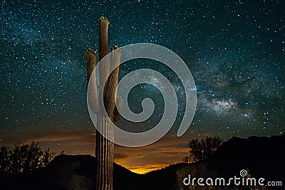 Saguaro Cactus and Milky Way Stock Photo