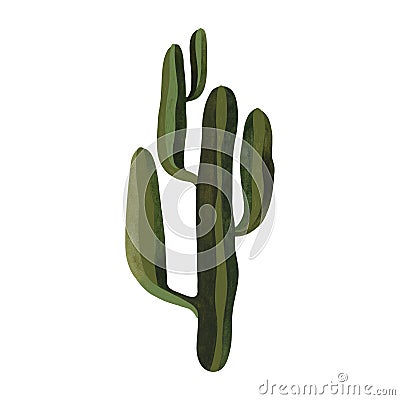 Saguaro. Cactus. Plants for the home. Floriculture. Desert flora. Isolated watercolor illustration on white background Cartoon Illustration