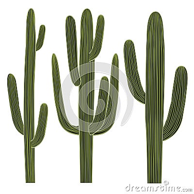 Saguaro Cactus Set Vector Illustration