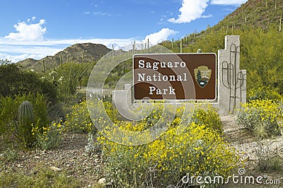 Saguaro National Park West Stock Photo