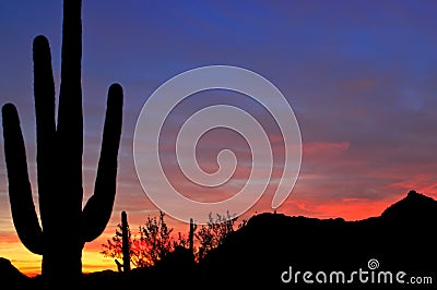 Saguaro Silhouette Stock Photo