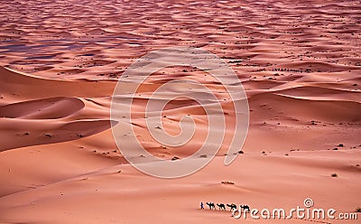 Sahara Desert Stock Photo