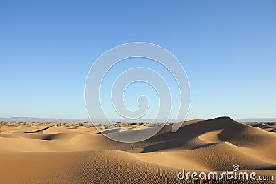 Sahara desert sand dunes with clear blue sky. Stock Photo