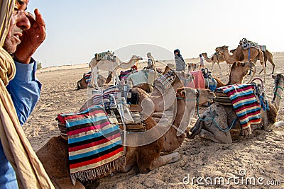 06.11.23 Sahara, Tunisia: Group of tourist ride on camels at sunset in Sahara Desert Tunisia. Editorial Stock Photo