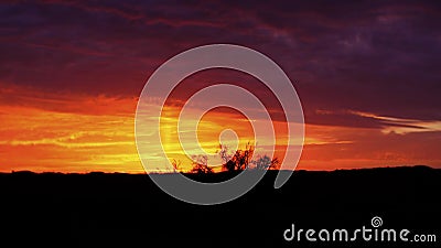 Sahara-Wüste, wunderbarer Sonnenuntergang stock footage Sahara-Wüste, wunderbarer Sonnenuntergang stock footage