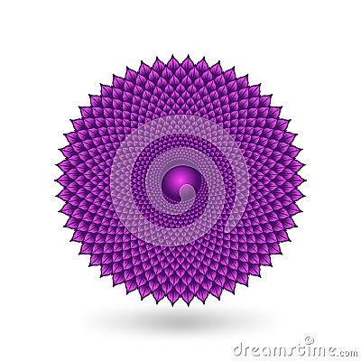 Sahasrara crown chakra is lotus flower with 1000 petals Vector Illustration