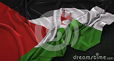 Sahrawi Arab Democratic Republic Flag Wrinkled On Dark Backgroun Stock Photo