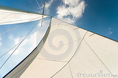 Sail of a sailing boat Stock Photo