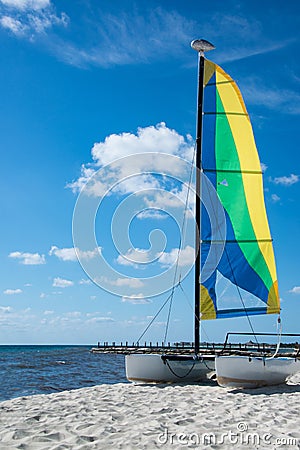 Sailboat catamaran on sandy beach Stock Photo