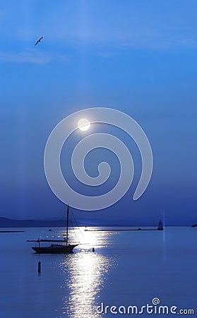 Sailboat in mooglade on lake champlain with seagull Stock Photo