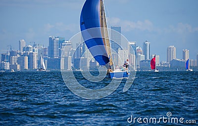 Sailing regatta sailboat race w Miami Florida skyline Editorial Stock Photo