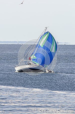 Sailboat with spinnaker billowing in breeze Editorial Stock Photo