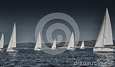 Sailboats compete in a sailing regatta at sunset, sailing race, reflection of sails on water, white color of sails, boat Stock Photo