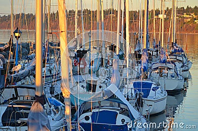 Brisk morning on the dock Editorial Stock Photo