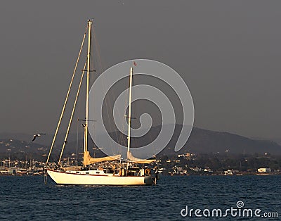Sailboats Moored Off Ilha De Culatra Portugal Editorial Stock Photo