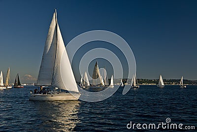 Sailboats on Puget Sound Stock Photo