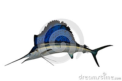 Sailfish Stock Photo