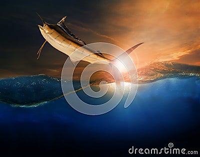 Sailfish flying over blue sea ocean use for marine life and beau Stock Photo