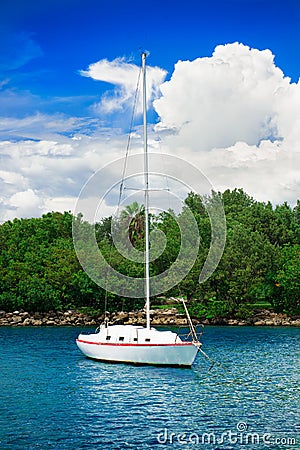 Sailfish yacht near scenic green island Stock Photo