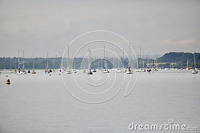 Sailing boats in Poole Harbour Stock Photo