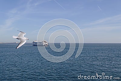 Sailing from Texel island ferry Stock Photo