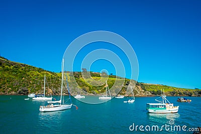 Sailing yachts in Waiheke Island, New Zealand. with a beautiful blue sky and magenta water in a sunny day Stock Photo