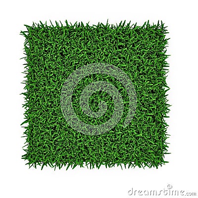 Saint Augustine Warm Season Grass on white. 3D illustration Cartoon Illustration