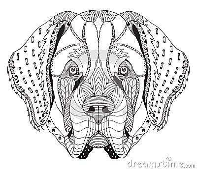 Saint Bernard dog zentangle stylized head, freehand pencil, hand Vector Illustration