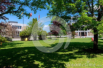 Trees and the shady lawn at the University of New Brunswick, Saint John campus Editorial Stock Photo