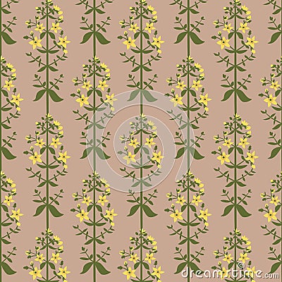 Saint John`s wort flowers seamless pattern on pink background Vector Illustration