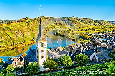 Saint Lawrence Church at the Moselle Bow - Bremm, Germany Stock Photo