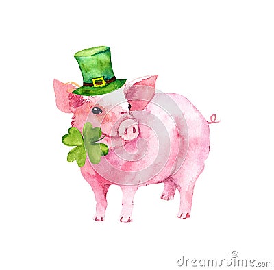 Saint Patrick`s Day card with pig in green hat, 4 leaves clover. Watercolor illustration Cartoon Illustration