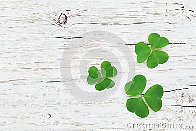 Saint Patricks Day background with green shamrock on wooden texture top view. Stock Photo