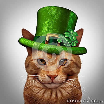 Saint Patricks Day Cat Stock Photo