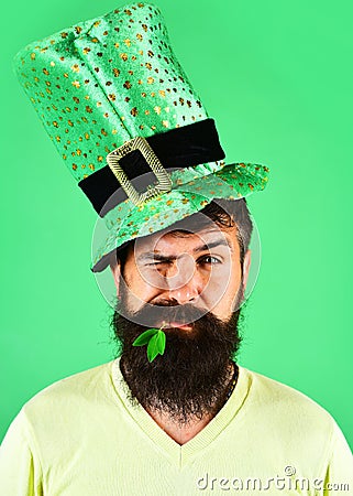 Saint Patricks day. Winking bearded man in green hat with Clover in mouth. Spring holiday. Irish tradition. Stock Photo