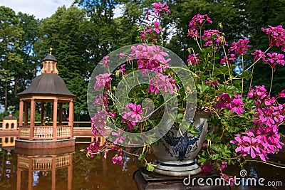 Flowers on the edge of the pond Stock Photo