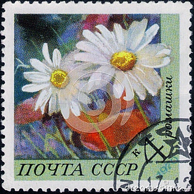 Saint Petersburg, Russia - February 20, 2020: Postage stamp issued in the Soviet Union with the image of the Camomile, Matricaria Editorial Stock Photo